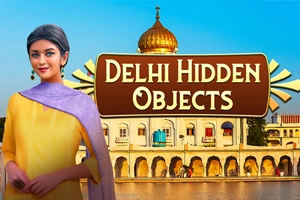 Delhi Hidden Objects